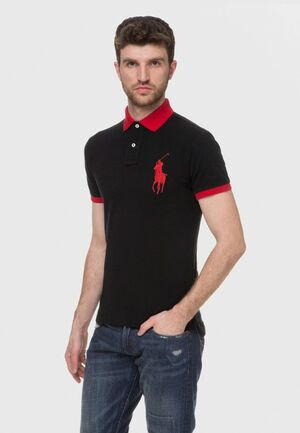 Поло Polo Ralph Lauren