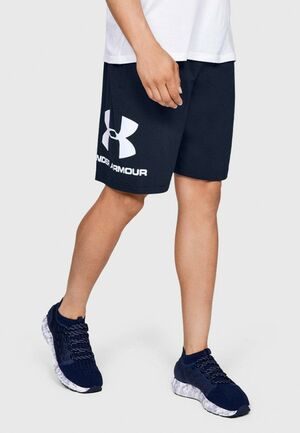 Шорты спортивные Under Armour